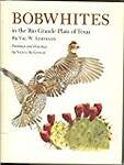 Bobwhites in the Rio Grande Plain of Texas
