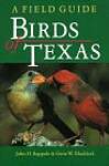 Birds of Texas: A Field Guide