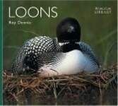Loons