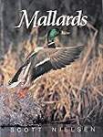 Mallards