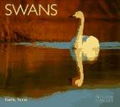 Swans