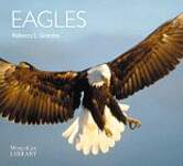 Eagles