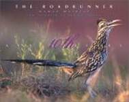 The Roadrunner