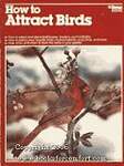 How to Attract Birds