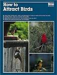 How to Attract Birds