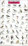 Mac's Field Guide to Northwest Park and Backyard Birds