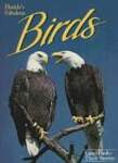 Florida's Fabulous Birds