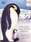 Penguins and Their Young