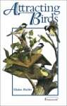 Attracting Birds