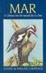 Mar: A Glimpse into the Natural Life of a Bird