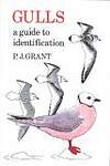 Gulls: A Guide to Identification