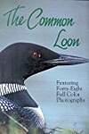 Common Loon