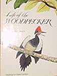 Life of the Woodpecker