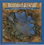 Bluebird Rescue