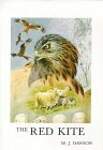 The Red Kite