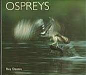 Ospreys