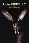 How Birds Fly