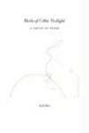 Birds Of Celtic Twilight: A Novel In Verse
