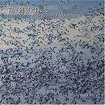 The Flight Deck: Digital Rhythms of Our National Wildlife Refuges