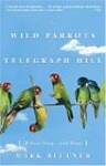 The Wild Parrots of Telegraph Hill: A Love Story . . . with Wings