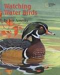 Watching Water Birds