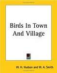 Birds In Town And Village