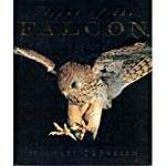 Flight of the Falcon