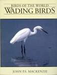 Wading Birds