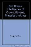 Bird Brains: Intelligence of Crows, Ravens, Magpies and Jays
