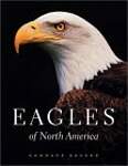 Eagles of North America