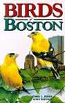 Birds of Boston