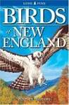 Birds of New England