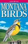 Montana Birds
