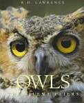 Owls: The Silent Flyers