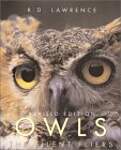 Owls: The Silent Fliers