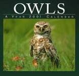 Owls 2001 Calendar