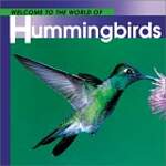 Welcome to the World of Hummingbirds