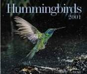 Hummingbirds 2001 Calendar