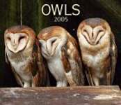 Owls 2005 Calendar