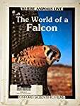 The World of a Falcon