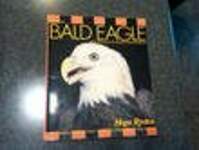 America's Bald Eagle