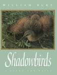 Shadowbirds: A Quest for Rails