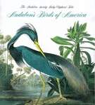 Audubon's Birds of America: The Audubon Society Baby Elephant Folio