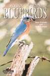 Bluebirds