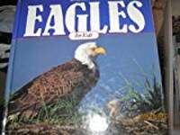 Eagles for Kids
