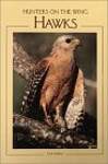 Hawks: Hunters on the Wing