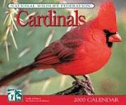 Cardinals 2000 Calendar