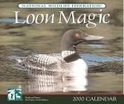 Loon Magic 2000 Calendar
