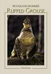 Ruffed Grouse: Woodland Drummer