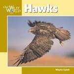 Hawks